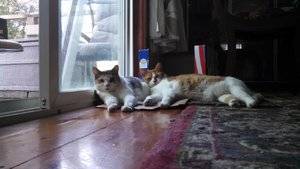 IMG_20140827_130639_114.jpg