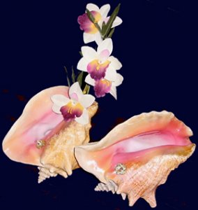 Giant%20Conch%20Lamps%20pair%20x%20300.jpg