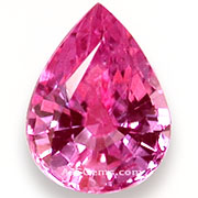SPK-00175-l.jpg