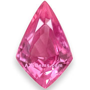 SPK-00155-l.jpg