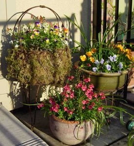 garden 0306 b.jpg
