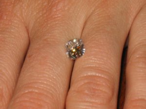 IMG_1821.jpg