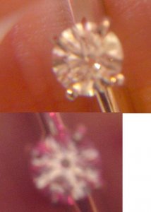 feb2003phots2.JPG