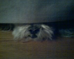 040406_22401.jpg