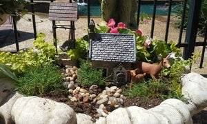 20150419_115436.jpeg