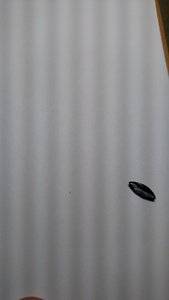 IMG_20180423_101645930.jpg IMG_20180423_101645930.jpg