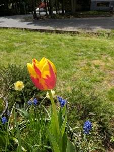 IMG_20180424_141358.jpg