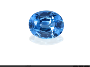 IMG_2022.PNG