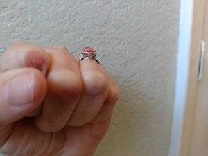 thumbnail.jpeg