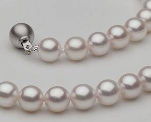 8mm-akoya-closeup.jpg