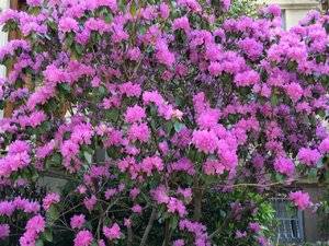 06A9759D-7955-4D81-85C6-44B34AA0BB78.jpeg
