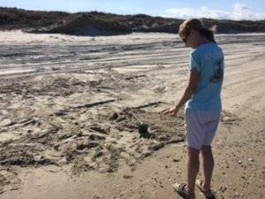 beach 10.jpg beach 10.jpg