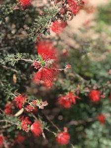 DDE7D243-5633-443A-A303-AF091B0C822F.jpeg