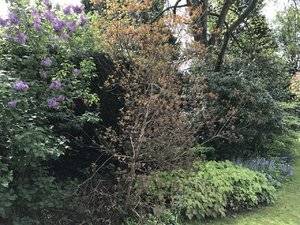 IMG_3180.JPG