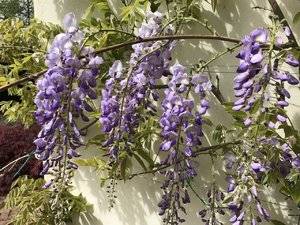 IMG_3182.JPG