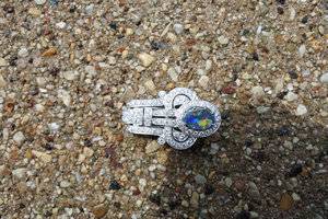 DSC_0552[1].jpg