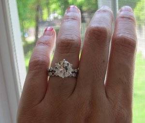 IMG_5553.jpg IMG_5553.jpg