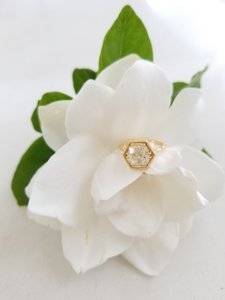 20180405_120415.jpg