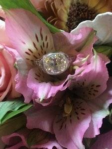 IMG_6328.JPG