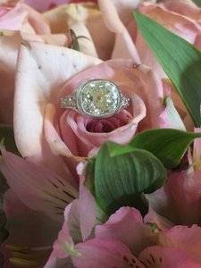 IMG_6347.JPG
