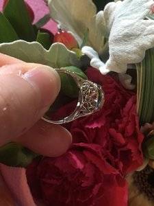 IMG_6334.JPG