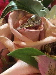 IMG_6333.JPG