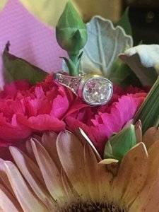 IMG_6369.JPG