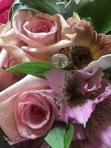 IMG_6327.JPG