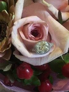 IMG_6368.JPG