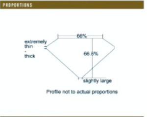 proportions.png