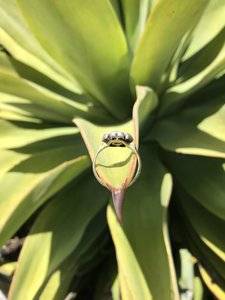 DC055CFA-433F-4A93-98C8-C8F4B8BA2AE4.jpeg
