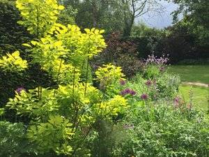 IMG_1652.JPG