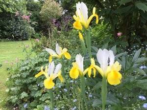 IMG_1666.JPG