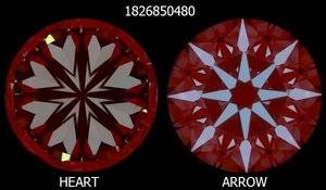1826850480.jpg