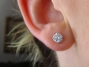 Studs 006small.JPG