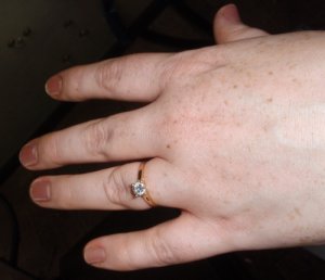 P1080133 paintnet.jpg