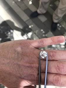 IMG_4774.JPEG IMG_4774.JPEG
