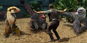 raptor_raptors_by_arbitran-d8ytaji.jpg raptor_raptors_by_arbitran-d8ytaji.jpg