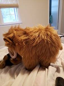 20180626_184735.jpg