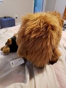 20180626_184819.jpg