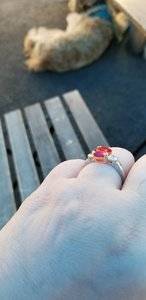20180624_151341.jpg