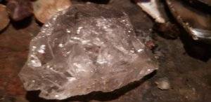 20180701_124019.jpg
