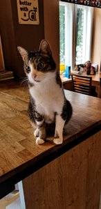 20180912_223812.jpg