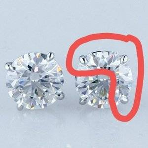 Prong pic 1 circled.jpg