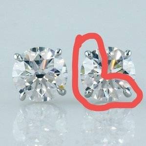 Prong pic 2 circled.jpg