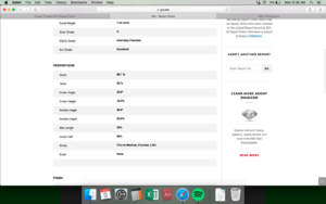 Screen Shot 2018-07-09 at 11.06.11 AM.png