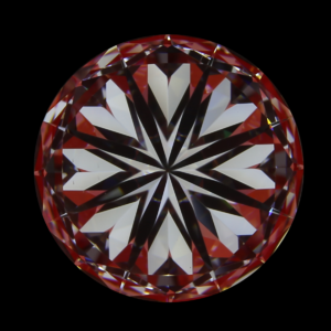 image (1).png