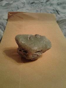 20180714_141555.jpg