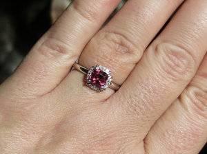 IMG_9314.JPG