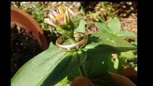 goldworkringflower.jpg goldworkringflower.jpg